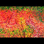 秋の色Web用沖野
